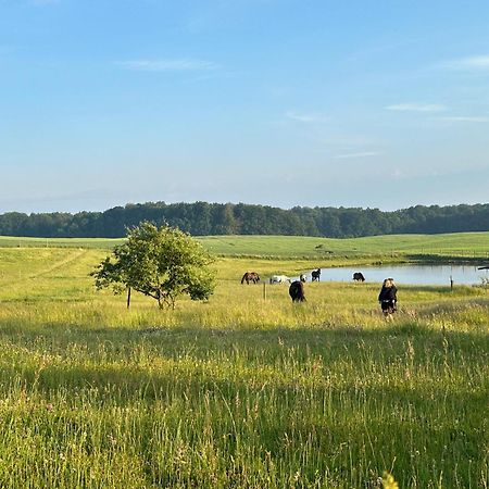 Projekt Stajnia - Nadmorski Osrodek Jazdy Konnej - Noclegi Łazy Extérieur photo