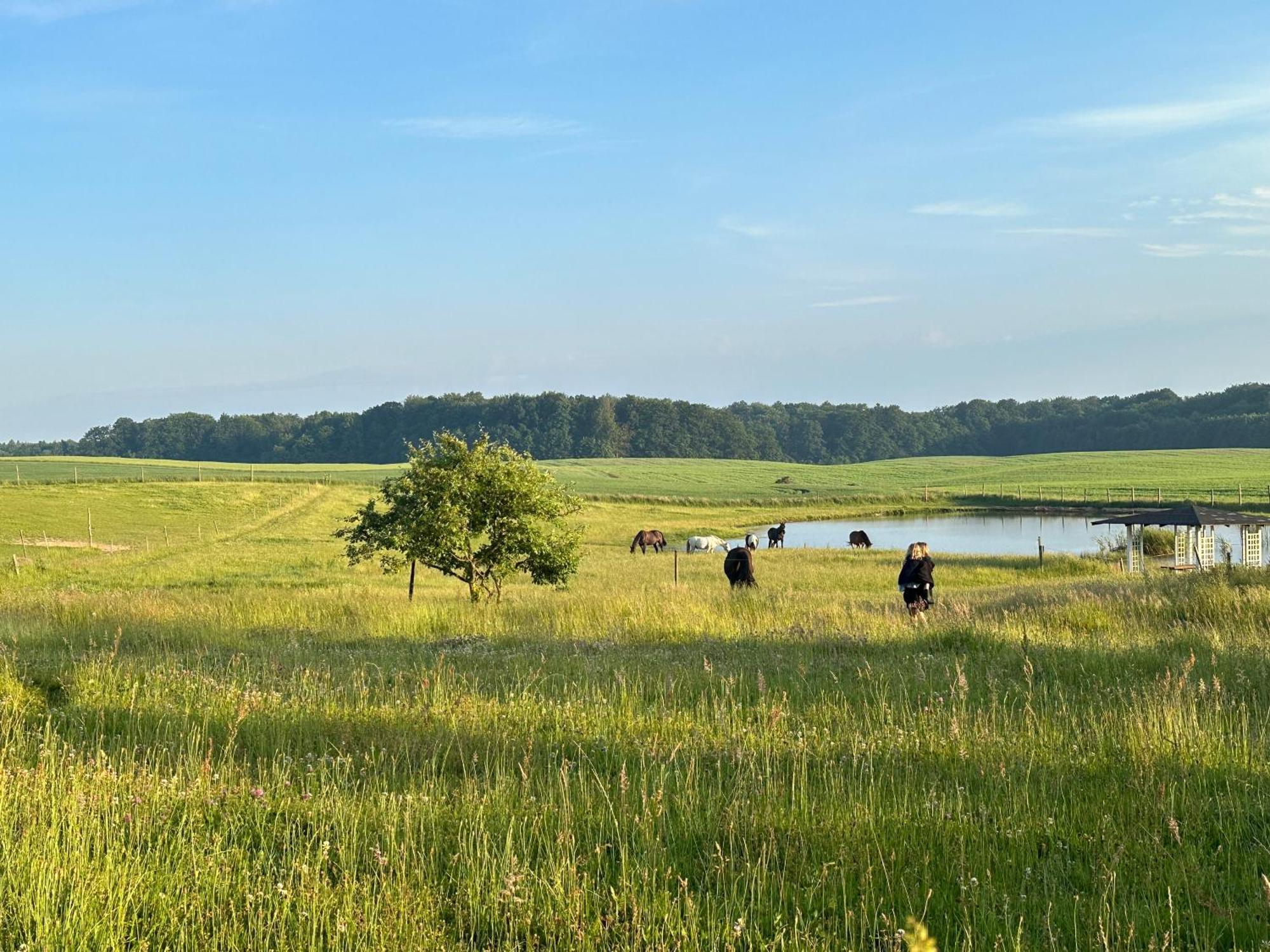 Projekt Stajnia - Nadmorski Osrodek Jazdy Konnej - Noclegi Łazy Extérieur photo